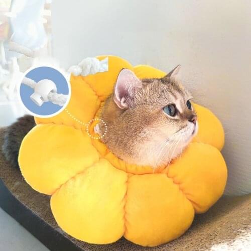 Elizabethan Collar For Cats Adjustable Anti Strangling Bite Small Dogs Surgery Wound Healing Rainbow Collar Protective Puppy