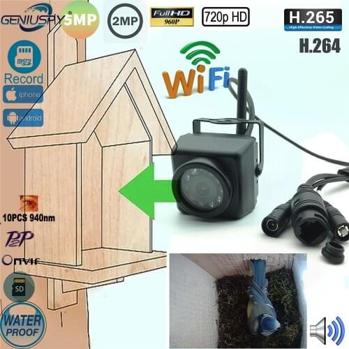 Mini IR Camera Motion Detection Night Vision Wifi Outdoor Cctv Onvif P2p Wireless Cam In BirdS Nest And Cage House Camhi App
