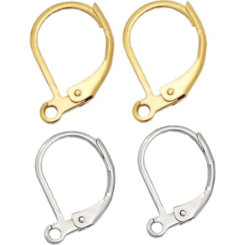 20pcs 304 Stainless Steel Lever Back Hoop Earrings France Clasps Settings Earring Hoop for DIY Earrings Ear Jewelry