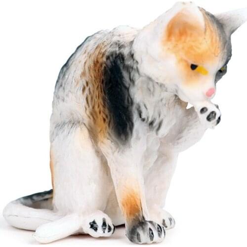 Small Cat Animal Figure Collectible Toys Pet Animal Cognition Action Figures Kids Plastic Model Toys