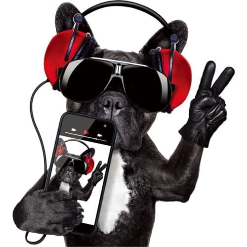 Cool Dogs Appliques On Clothes Summer T-Shirt Printing Military Patch Garment Accessory Diy Heat Transfer New Washable