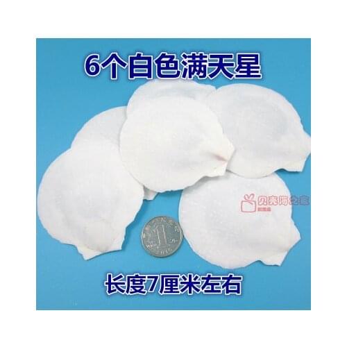 04 Decoration Crafts Natural conch shell aquarium aquarium design decoration 7CM