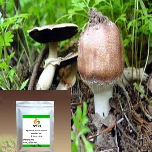Natural polysaccharides Agaricus blazei muril powder Agaricus blazei extract powder ji song rong
