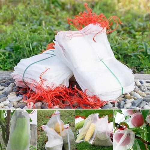 50Pcs/20Pcs Net Bag Cover for Grape Flower Vegetable Protection from Insect Bird
