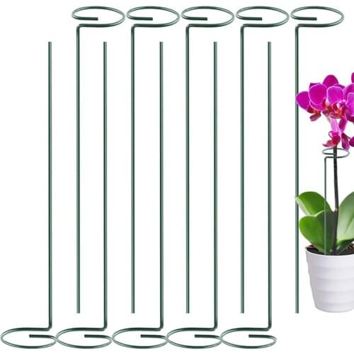 5/10 PCS Plant Support Stakes Garden Single Stem Support Stake Plant Cage Support Rings For Amaryllis Tomatoes Orchid Lily Peon