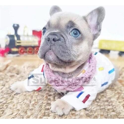 Fashion Pet Dog Hoodie Clothes Winter Warm Coat Jacket Sweater Jumper For Small Medium Dogs Puppy Chihuahua Pug Bichon LXC06