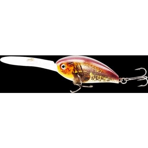 Artificial 3DEyes High Quality Freshwater Fishing Lure Hard Bait18g/115mm Bionic Floating Minnow Crankbait Plastic Fishing Bait