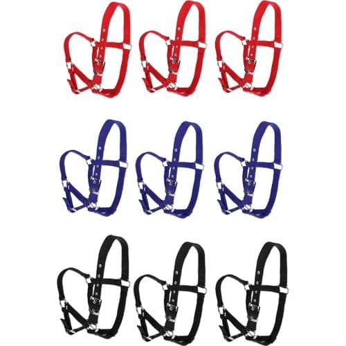 MagiDeal Equestrian Goods