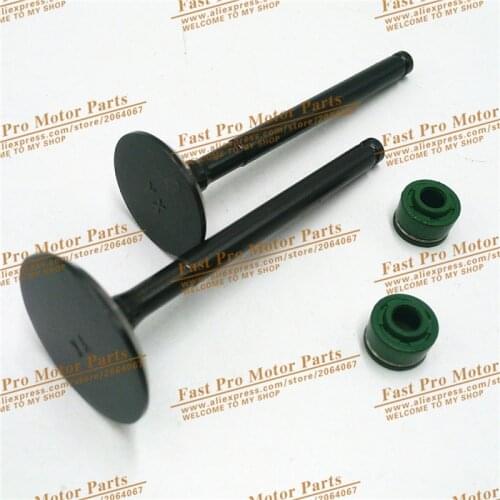 YinXiang 150CC YX160 Valve Oil Seals and Valve set Cylinder Head Valve Kit Engine spare parts