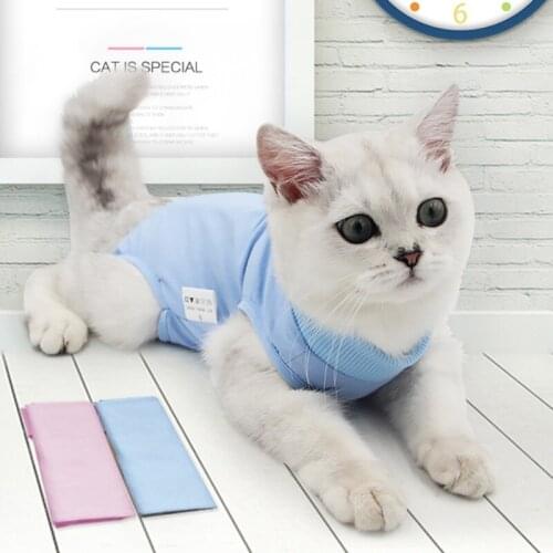 Cat Physiological Clothing High Elastic Postoperative Protective Anti-licking Vest Weaning Pet Clothing Wound Recovery 2021 New