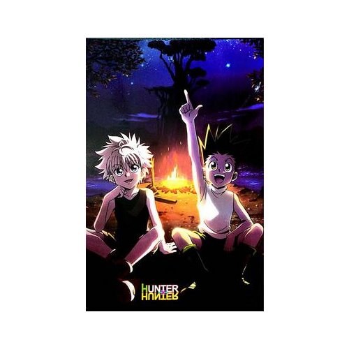 Lot style Choose Hunter x Hunter Hot Anime Art print Silk poster Home Wall Decor