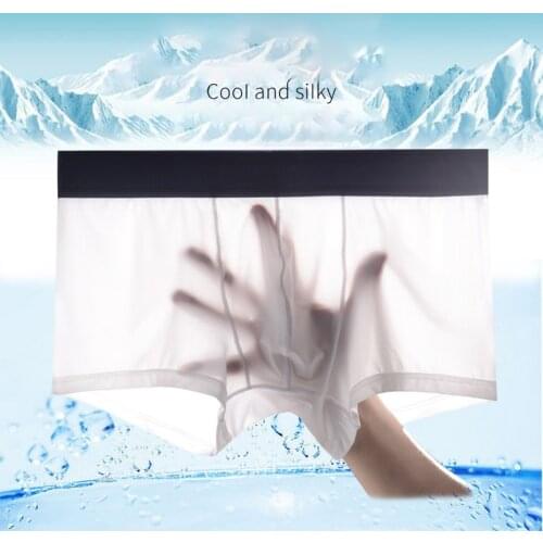 2021 Summer Ice Silk Men Underwear Seamless Transparent Boxer Shorts Ultra Thin Sheer Breathable Comfortable Panties Underpants