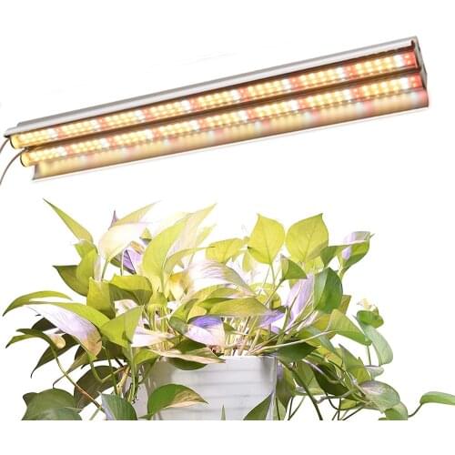 LED Plant Lamps RAYWAY China
