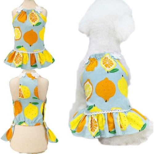 Sexy Princess Dog Dress Summer Lace Sleeveless Skirt For Small Dogs Chihuahua Pug Lemon Pattern Cat Dresses Outfit Pet Clothing