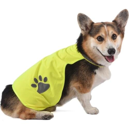 AYKRM Protective Clothing For Dogs