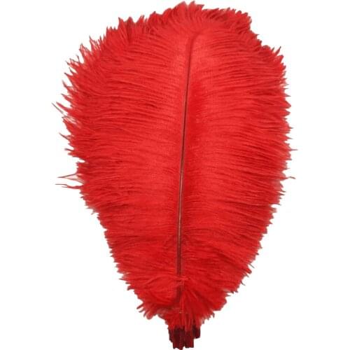 Wholesale Natural Ostrich Feathers 15-75CM 6-30 Inch Diy Christmas Party Wedding Dress Decorations Red Ostrich Feathers plumes