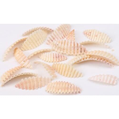 39-43mm Natural Spiral Shell Loose Beads for jewelry making DIY 40pcs TRS0129