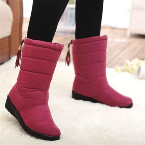 Winter Women Boots Female Waterproof Tassel Ankle Boots Down Snow Boots Ladies Shoes Woman Warm Fur Botas Mujer Elastic Band T98