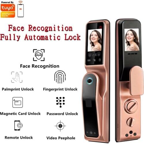 TUYA WIFI Face Recognition Lock Fingerprint Vein Palm Print Magnetic Card Password With Camera Home Electric Smart Door Lock