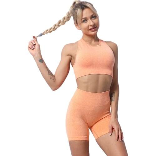 Seamless Yoga Set 2 Piece Sports Suit Female Workout Clothes Medium Support Sports Bra+High Waist Gym Shorts Women Sportwear