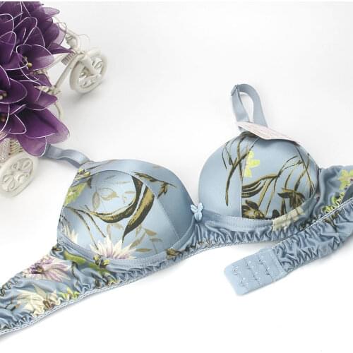 Pure Silk Padded Bra Double Faced Silk Thin 100% Mulberry Silk Glossy Pattern Bras 34 36 38 40/90A FREE SHIPPING