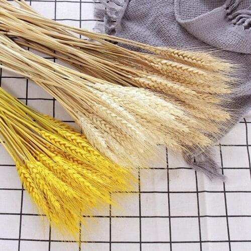 50Pcs Real Natural Dried Wheat Ear Wedding Flower Bouquet Table Decoration Handmade Dry Flower Grain Wheat Ears Home Decor