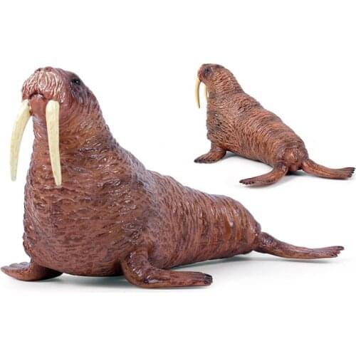Walrus Animals Model Action Figure Simulation Sea Life Animal Action Figures Collection PVC Toy Kids Gift