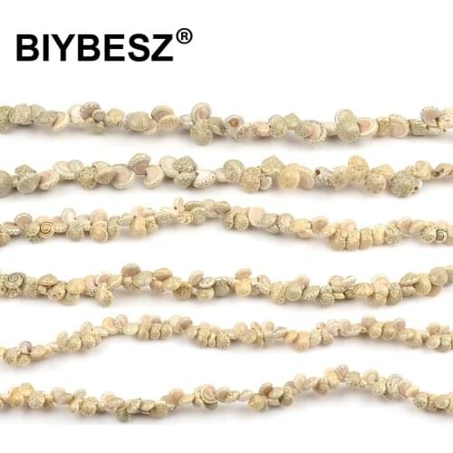 Three sizes Natural Conch Shell Beads The Whole Shell Chrams Beads For Jewelry Making DIY Women Accessories Indoor Decorative