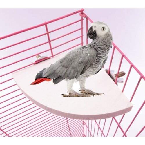 Fan-shaped Bird Parrot Wooden Stand Rack Bird Cage Accessories Perch For Small Animal Chinchilla Squirrel Hamster Stand Board