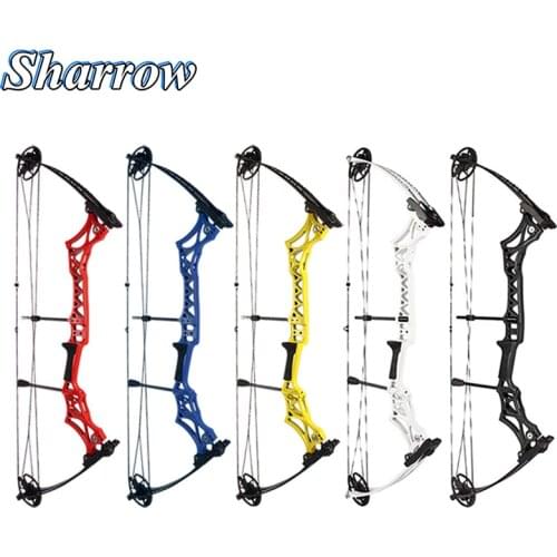 40inch Archery Compound Bow Pulley Bow & Arrow Sets 30-55lbs Adjustable High-strength Lightweight Material For Crossbow Hunting