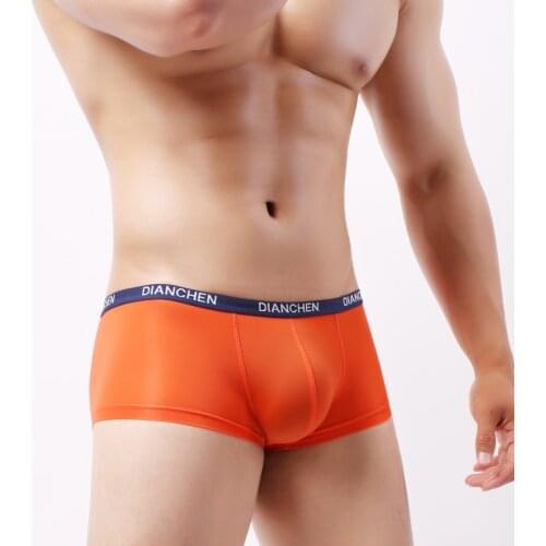 New Mens Underwear Boxers Brand Boxer Men Shorts Nylon Solid Cuecas Masculina Boxershorts Hombre Size M L XL 2XL HT045