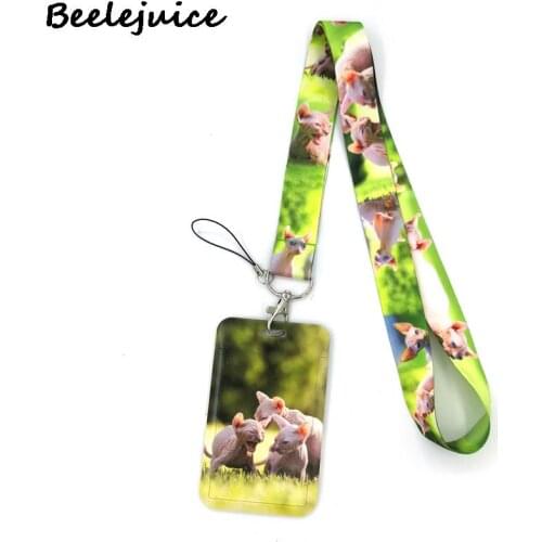 Animal Hairless Sphynx Cats Credit Card ID Holder Bag Student Women Travel Bank Bus Business Card Cover Badge Accessories Gifts