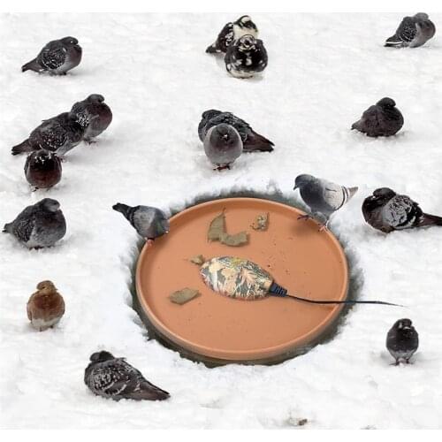 Nemobub Reptile Products