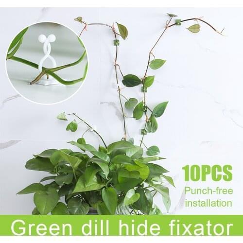 Plant climbing wall Self-Adhesive Fastener Tied fixture Vine Buckle Hook Garden plant wall climbing Vine Clips Fixed Buckle Hook