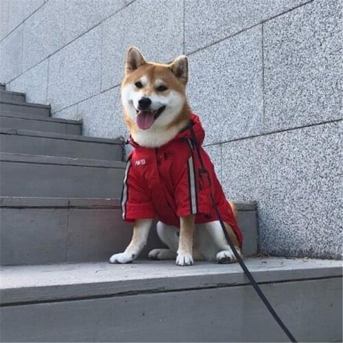 Newly Dog Raincoat Waterproof Rain Coat Clothes for Dogs Outdoor Walking Pets Rainy Wearing Clothing Hoodie Apparel B852