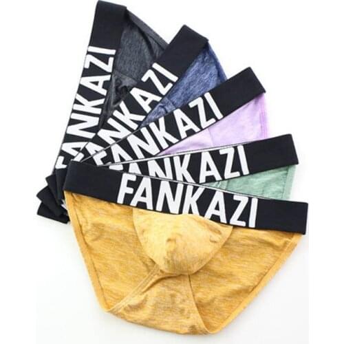 Mens Underwear Mini Briefs 5pcs/lot Wholesale Underpants Breathable Males Penis Pouch Cueca Panties Solid Color Bottoms