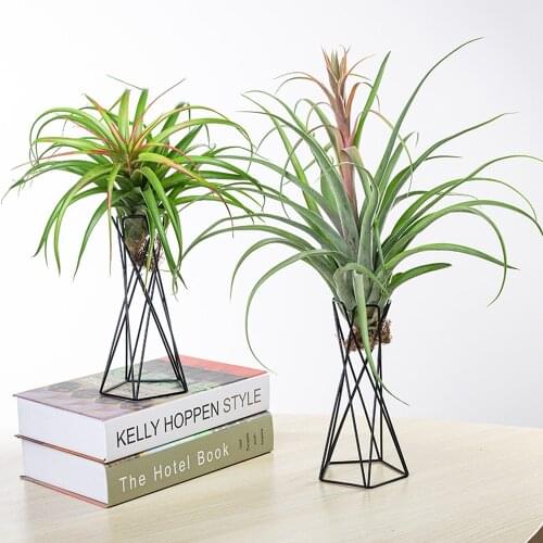 Garden Air Plant Holder Geometric Iron Tillandsia Holder For Home Ornaments Plant Containers Flower Racks Home Decoration