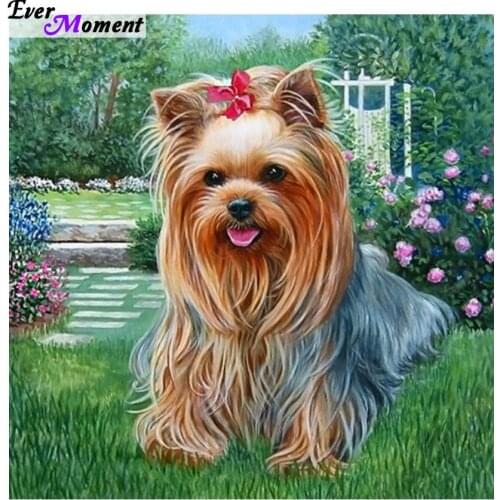 5D Diamond Painting Cross Stitch Color Spaniel Of Diamond Embroidery 3D Square Diamond Animals Dog Decoration 50x50cm ASF044