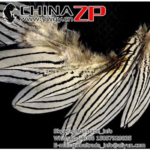 Leading Supplier CHINAZP Factory 200pcs/lot 15~20cm(6~8inch) Cheap Top Quality Natural Decoration Silver Pheasant Feather