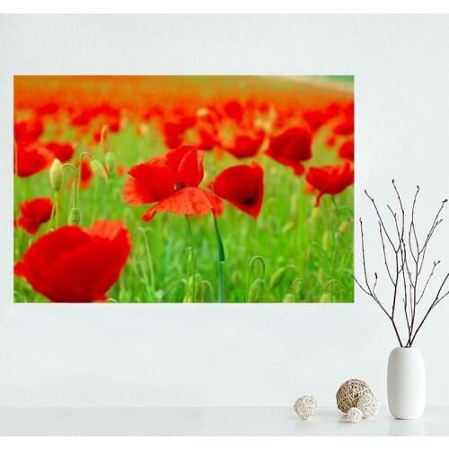 Nice Custom Poppy Flower Canvas Poster Print painting Art Wall Silk Poster cloth print Fabric Poster