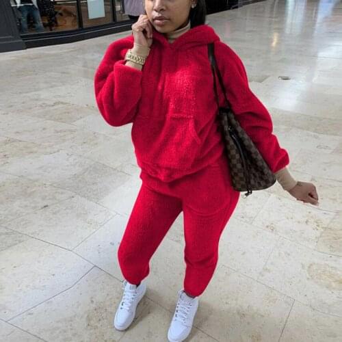 Women Plush Warm 2 Pieces Sets Tracksuits Full Sleeve Hooded Sweatsuit Hoodies Sporty Pants Home Teddy Outfits Matching Sets New