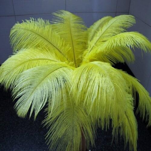 Free shipping 10 PCS beautiful natural yellow ostrich feather 50-55 cm / 20 to 22 inches