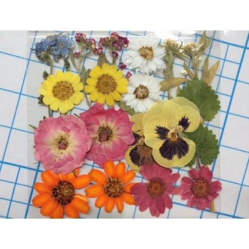 Different Kinds of Beautiful Real Pressed Flower Leaves Dried Flowers for Art Craft Scrapbooking candle making