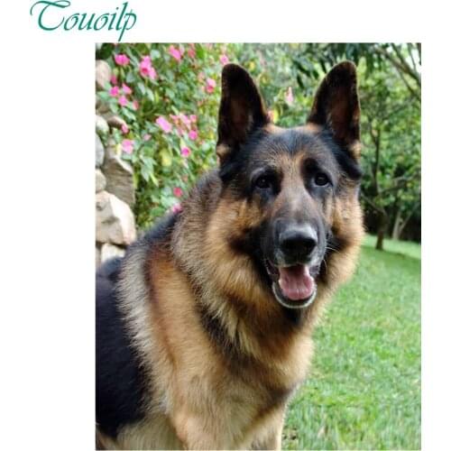 DIY 5d diamond painting Flowers German Shepherd full dog diamond embroidery square&round diamond mosaic full paste pattern Beads