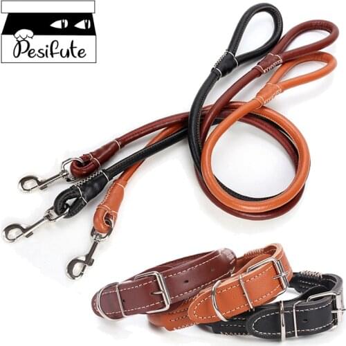 PESIFUTE Pet Dog 52" Dermis Leash Rope+Collar Set Outdoor Training Adjustable Comfortable Necklace Quick Released Leash