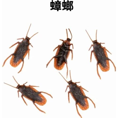ANGRLY 7x2cm Animal 10pcs Simulated Cockroach Children Tricky Toys Kids Educational Plaything Kuso Novel Funny Plastic Toy Gifts