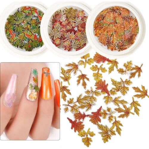 1Jar Mixed-Design Colorful Special Paper Slices non-adhesive Soft Sticker 3D maple wood pulp 50 sheets Nail Art Sticker