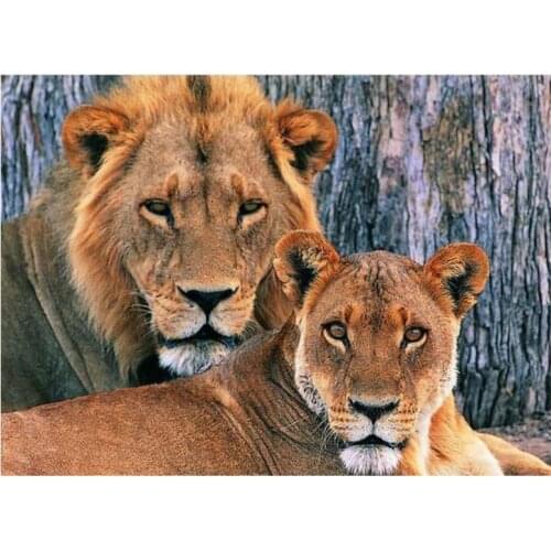 Lioness full diamond painting lions animals embroidery mosaic diamond dotz 5d rhinestone picture puzzle toy drawing wall decor