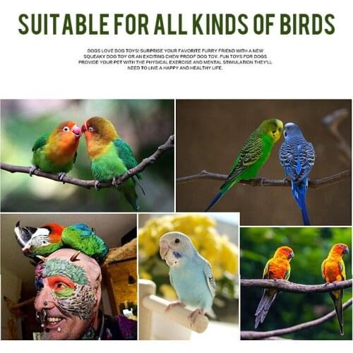 20cm Hanging Rattan Balls Interactive Bite Chew Toys for Parakeet Budgie Cage Balls Ropes Garden Decors Ornaments