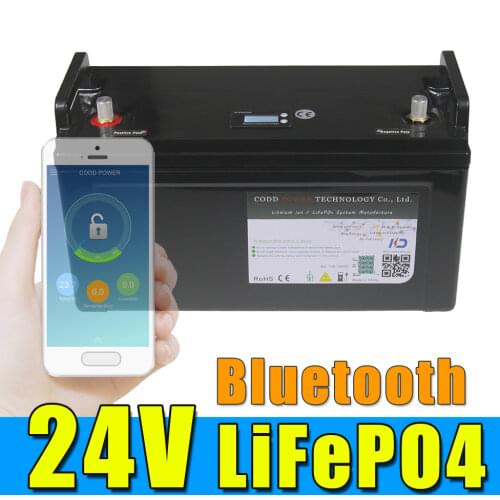 24V 100AH LiFePO4 Battery Pack WaterProof with 100A BMS for Ups Power Solar/RV/HomeStorage 10A Charger